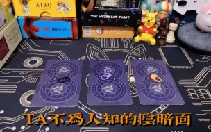 Tải video: 【X-Hermit Tarot】TA不为人知的阴暗面