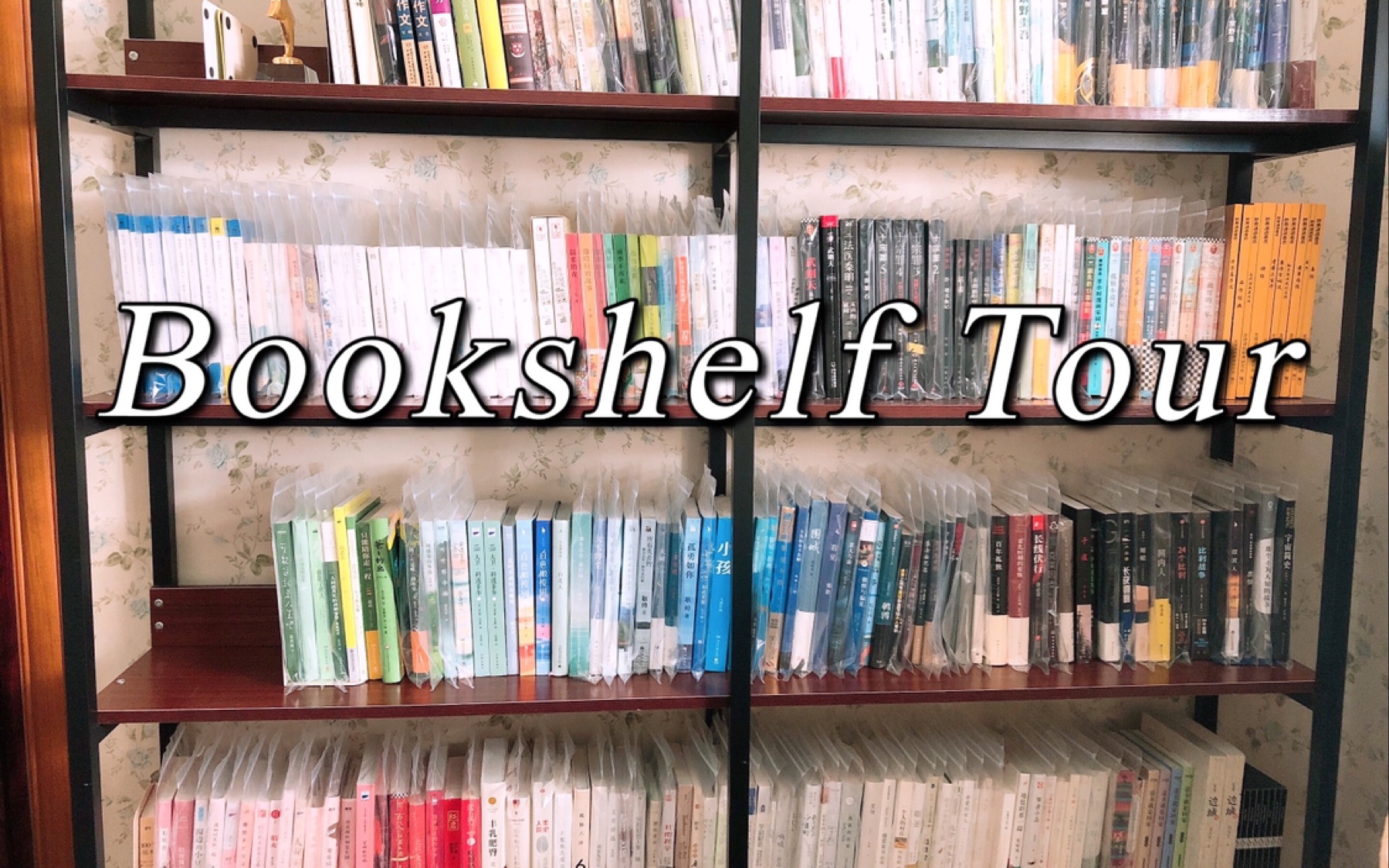 Bookshelf Tour|时隔一年的书架介绍分享哔哩哔哩bilibili