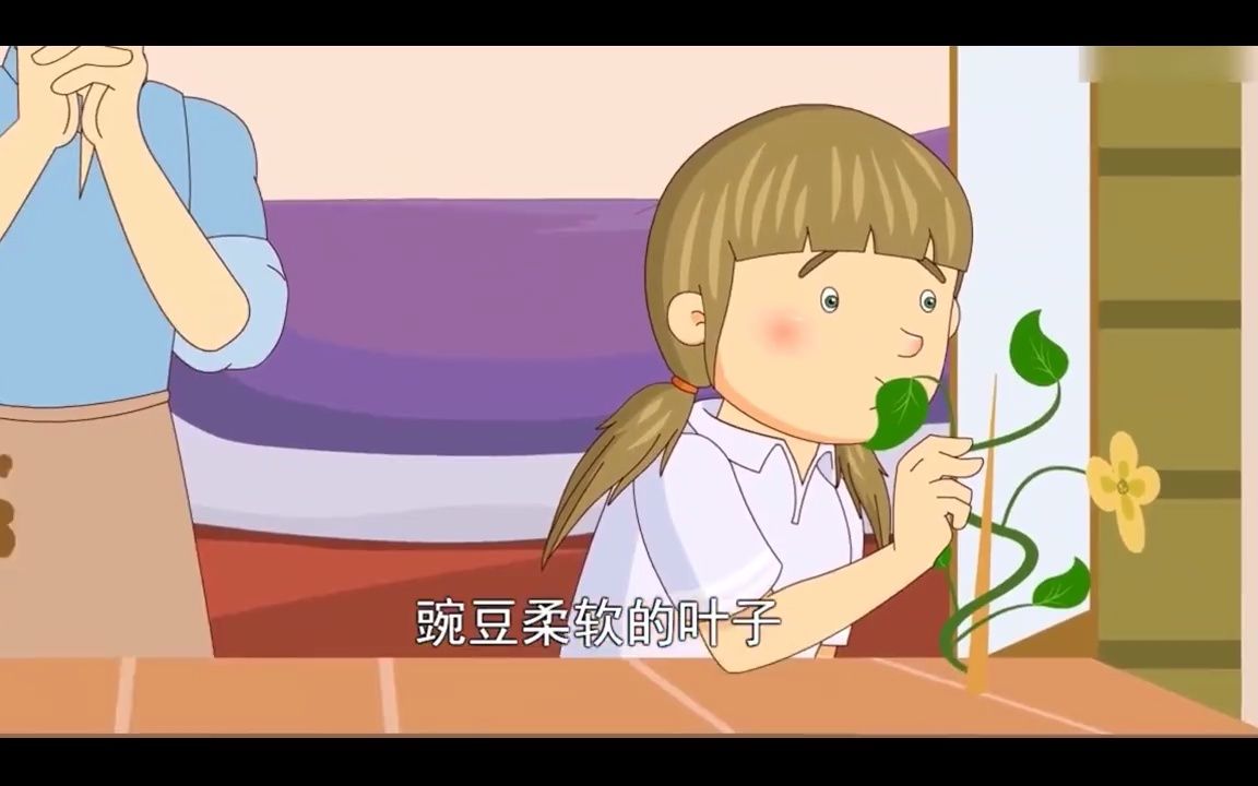 [图]豆荚里的五粒豆