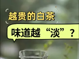 为什么越贵的白茶，反而喝起来越淡？2分钟教你怎么喝懂白茶的味道