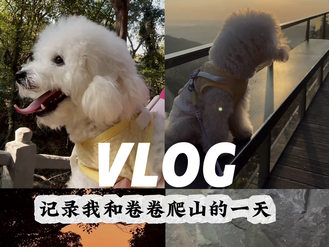 尝试拍了和卷卷的第一个Vlog(流水账)和狗子一起去爬山看夕阳的一天 充实而美好哔哩哔哩bilibili