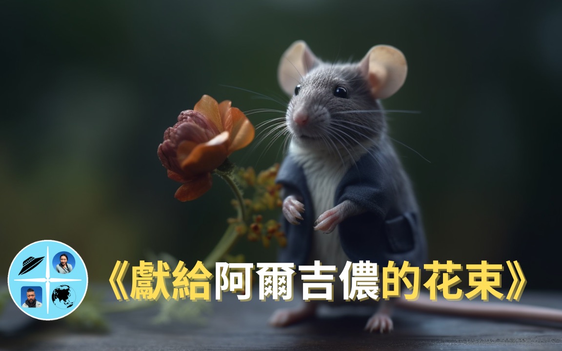 [图]一本被低估了的雨果奖科幻小说《献给阿尔吉侬的花束》，读懂它就能读懂人生【老白+故事会】