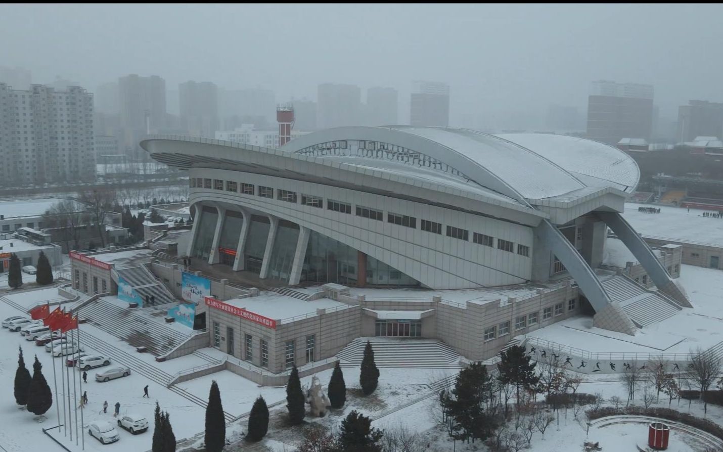 第二场冬雪欣然而至.愿你在这美好的冬景里,不忧不惧,向暖而行哔哩哔哩bilibili