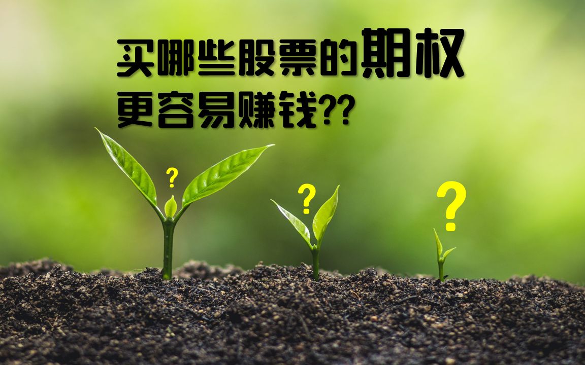买哪些股票的期权更容易赚钱?