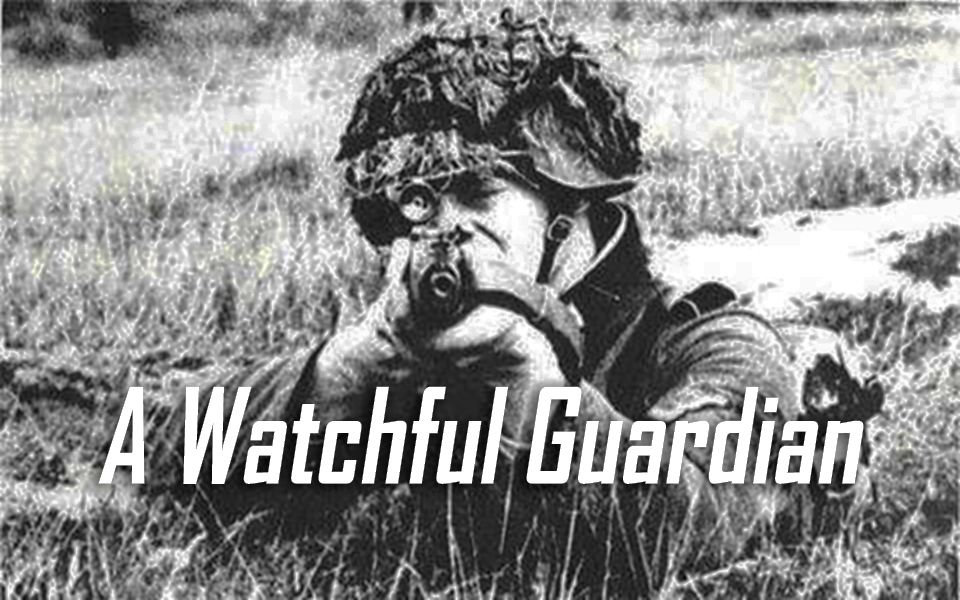 [图]战地1个人最强狙击秀 《A Watchful Guardian》