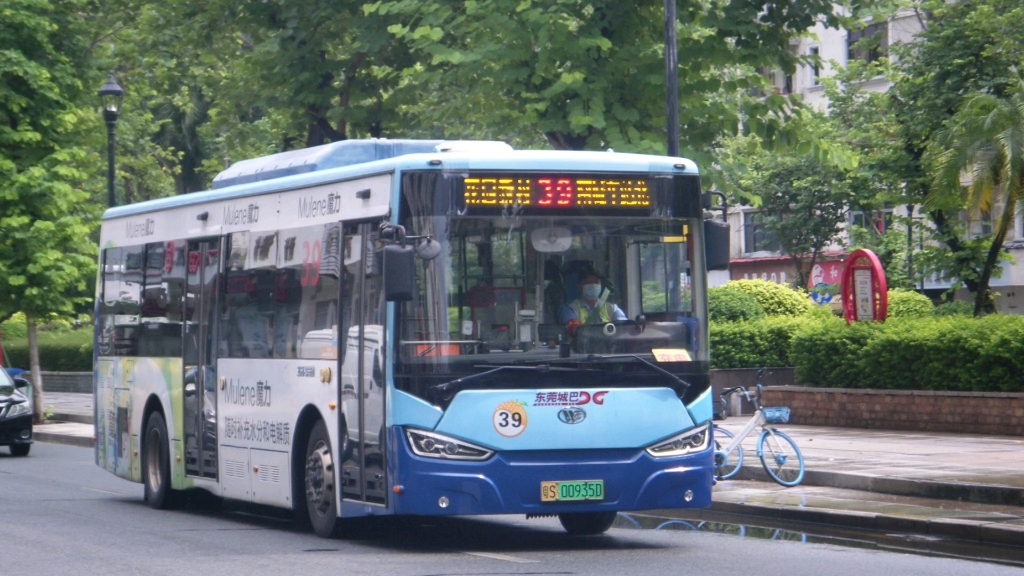 【东莞城巴】51路日常