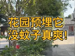 Download Video: 不让蚊子进入花园办法，只有小部分人知道！