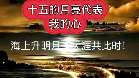 [图]《十五的月亮代表我的心》完整版