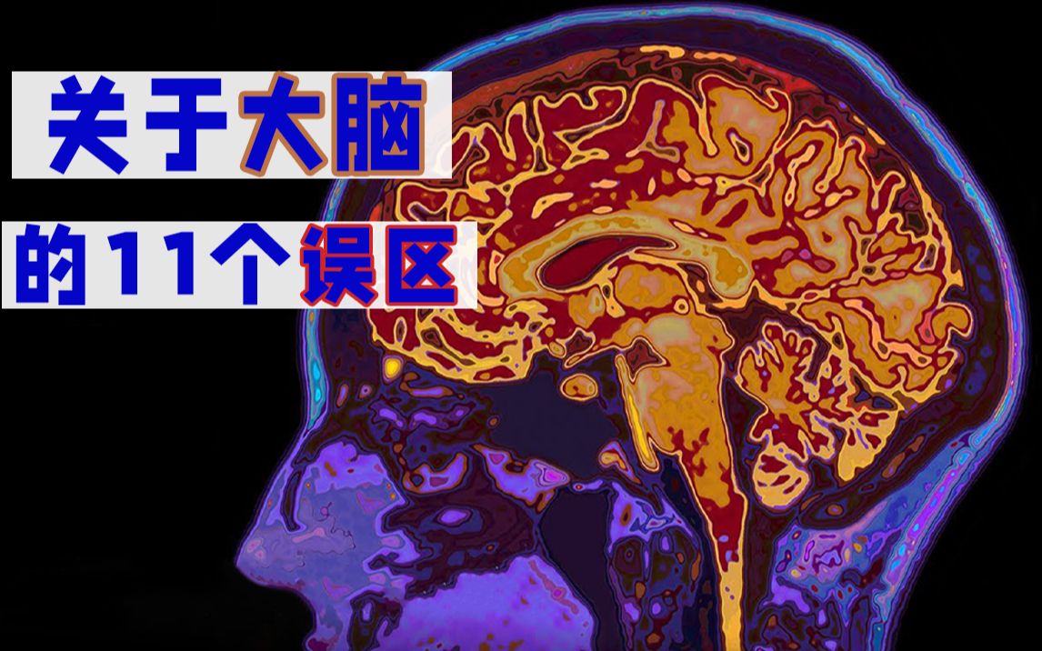 [图]人类大脑只开发了10%？科普：关于大脑的11个常见误区