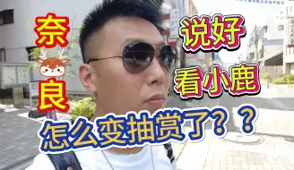 Download Video: 奈良小鹿之旅变包套之旅？这么多我该怎么带回去？？一番赏海贼王传说英雄！！