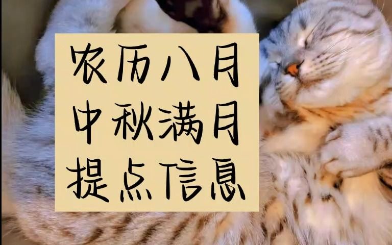 【甲木开花】【农历八月中秋满月提点信息】哔哩哔哩bilibili