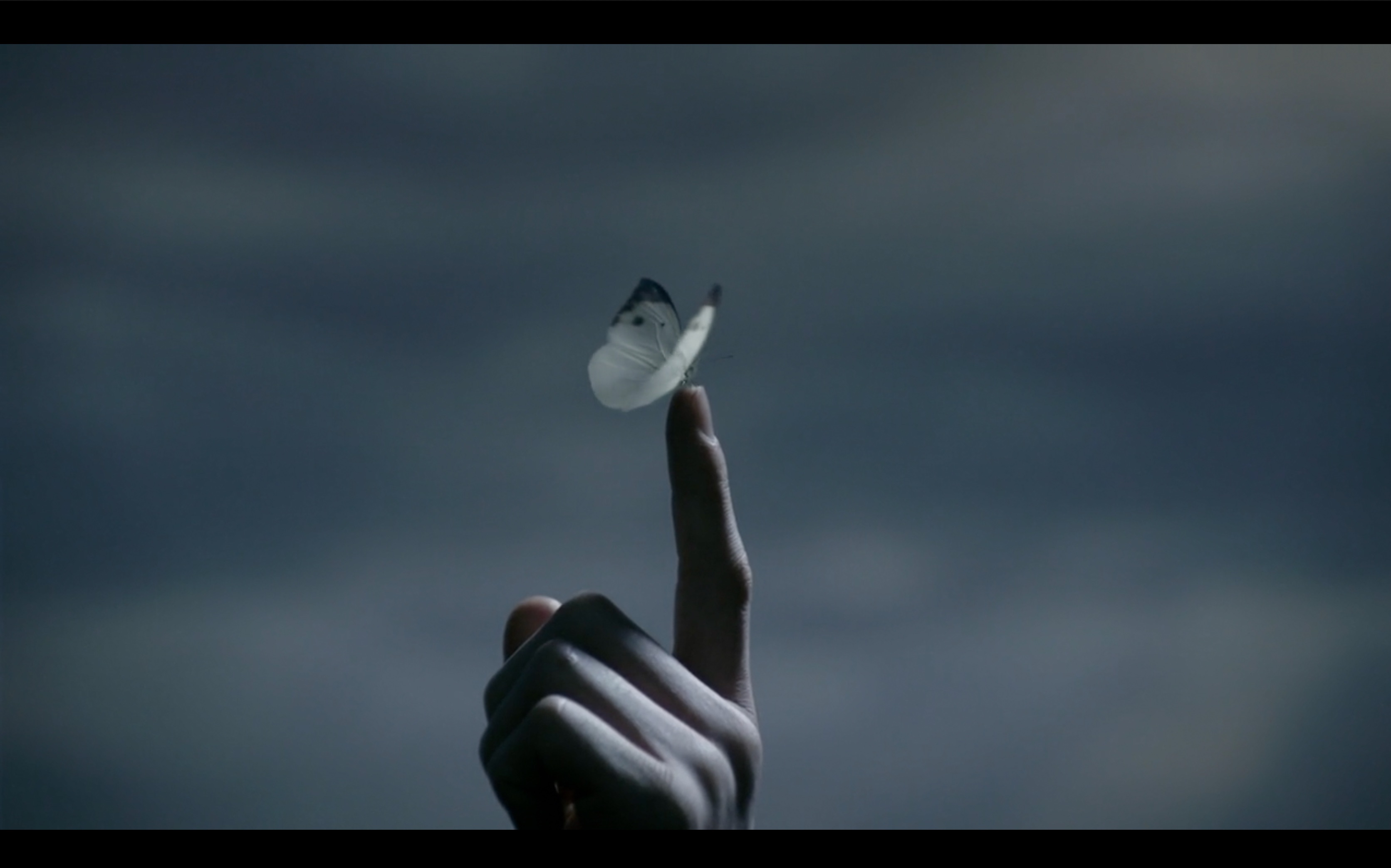 5分钟看完伪惊悚电影 《告白》