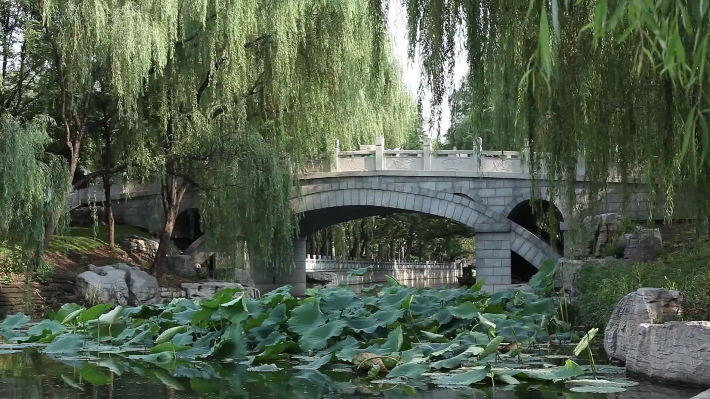 [图]天辛大师谈济南风水宝地，四季长青是柳神