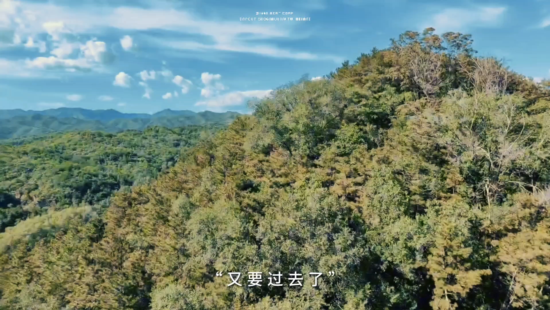 大千世界,无挂无碍,自去自来,自由自在,要生便生,莫找替代.