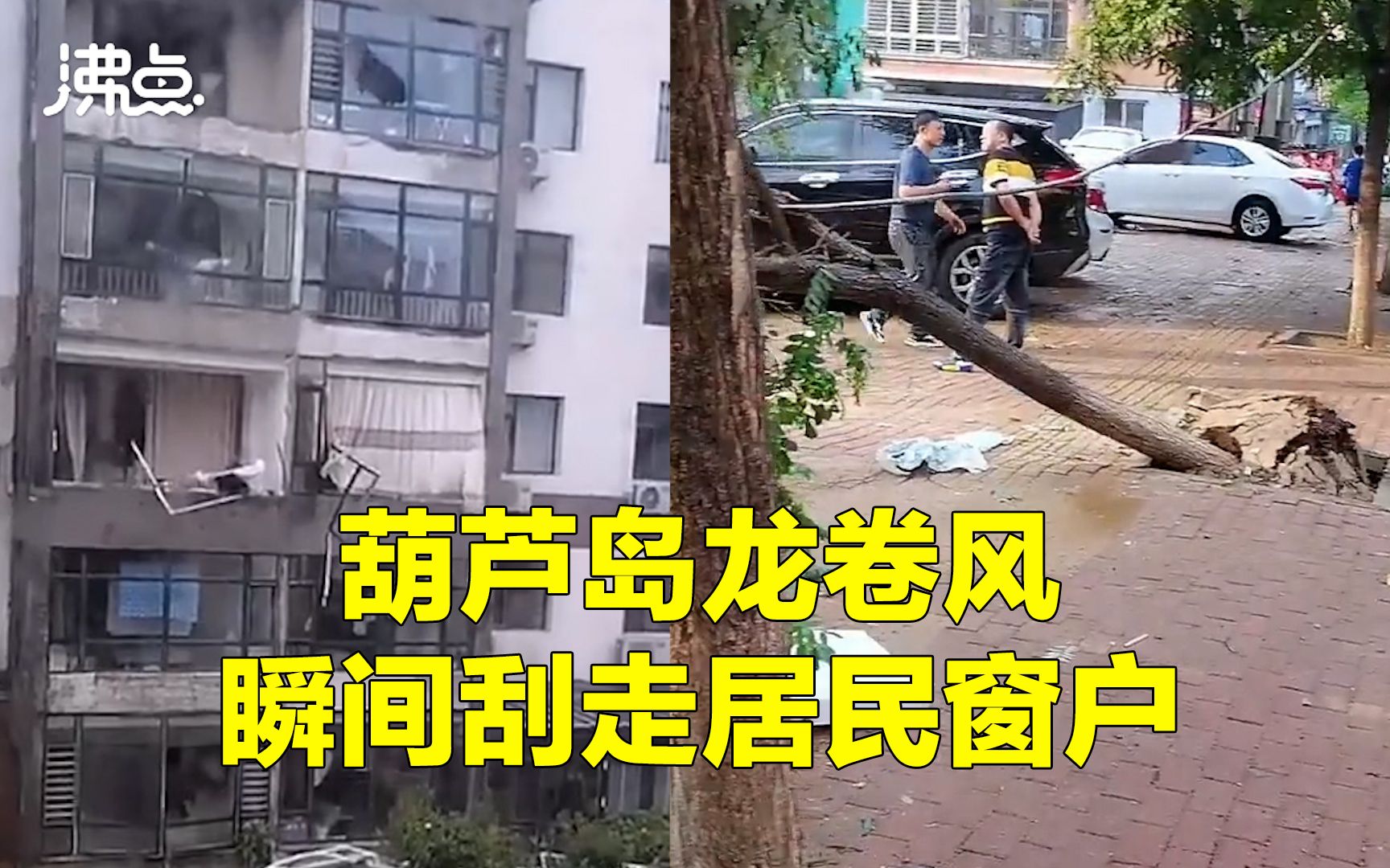 葫芦岛龙卷风瞬间刮走居民窗户树木被连根拔起