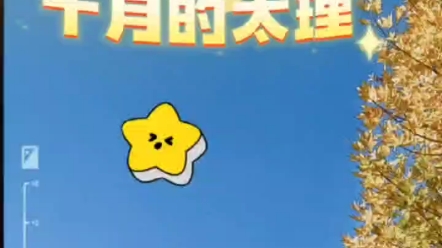 金秋十月丹桂飘香,太理十月生机昂扬哔哩哔哩bilibili