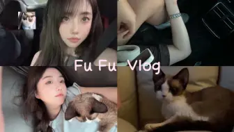 Descargar video: Vlog 5 | 和臭狗同居的110天🫧 | 未婚夫妇玩车的一天🐰 | 💜