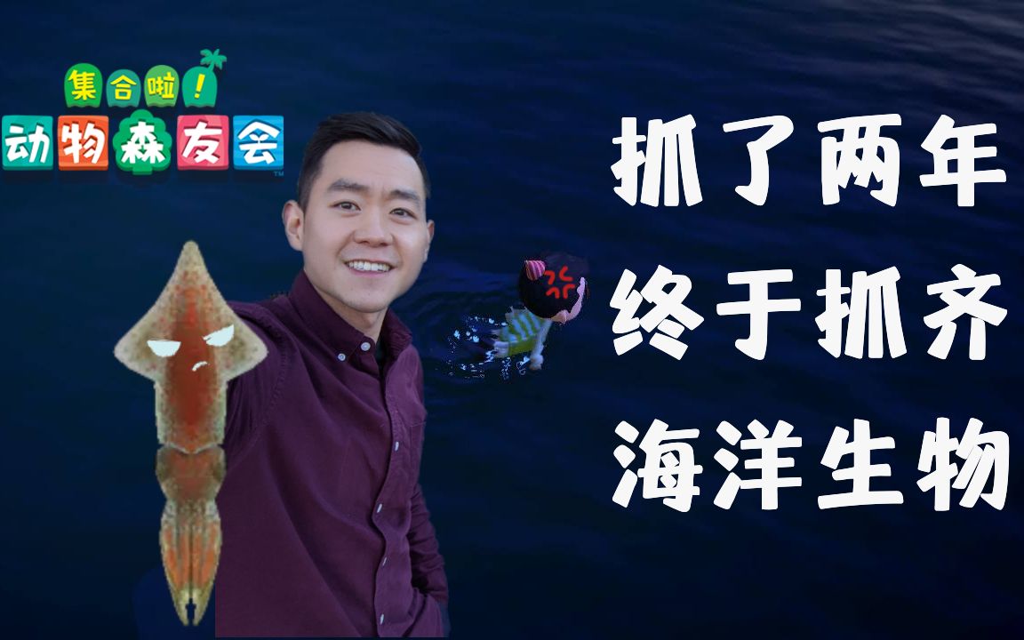 《集合啦!动物森友会 》|玩了两年才抓齐海洋生物|任天堂快报|麦当劳 X MAR10 DAY动物森友会