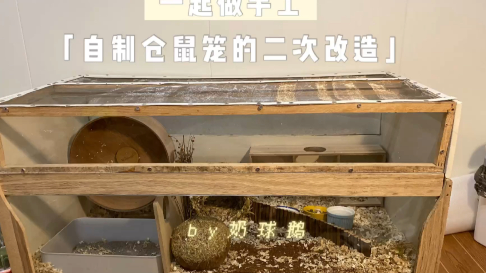金丝熊黄金仓鼠一起做手工diy自制仓鼠笼的二次改造用最低的成本造最