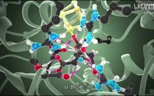 下载视频: 酶催化的原理