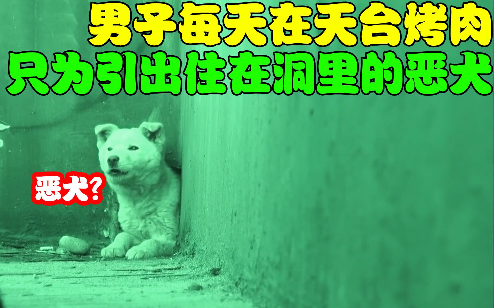 恶犬藏在天台3个月?大热天男子搭帐篷在天台烤肉,只为引出恶犬哔哩哔哩bilibili