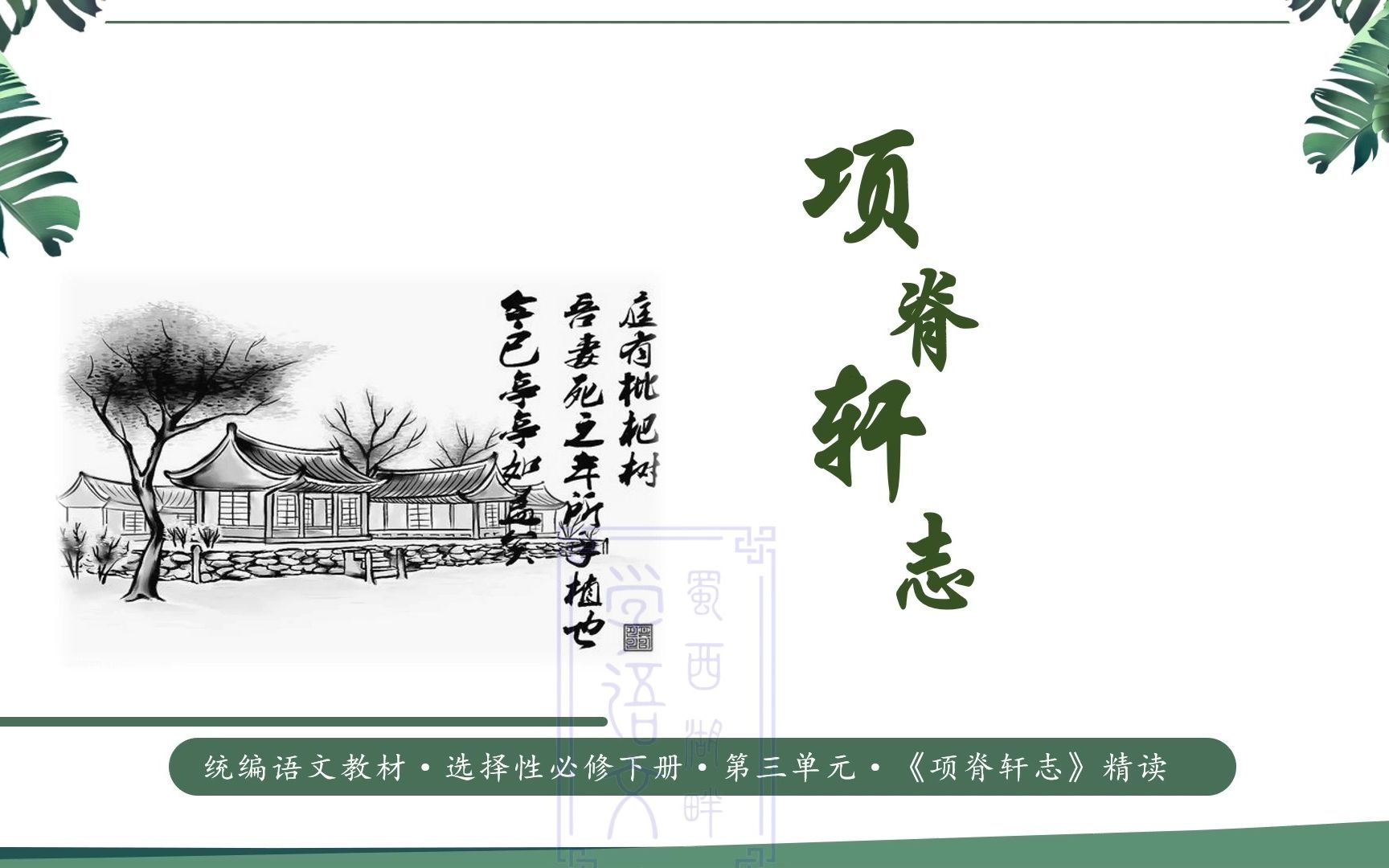 《项脊轩志》精读——选择性必修下册第三单元第二课时#高中语文#选择