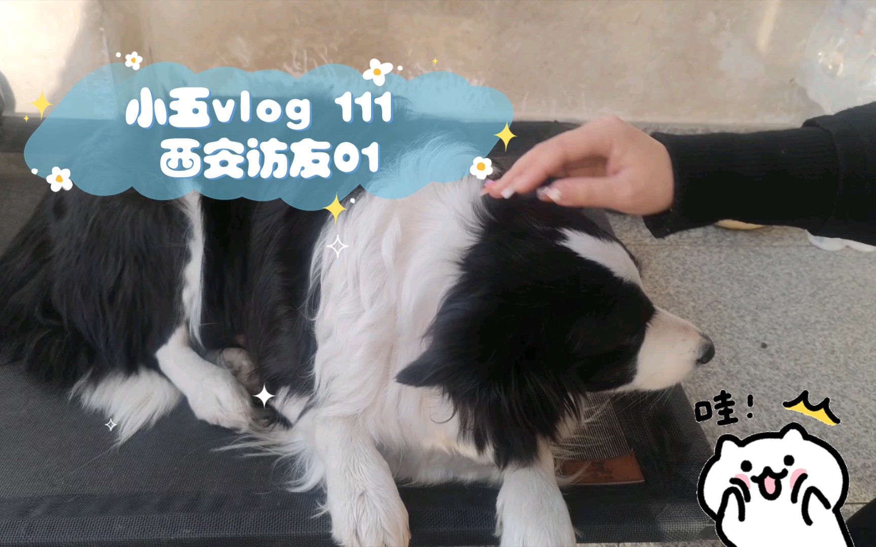 小五vlog 111 02.24 西安访友01 单车骑行路过西安,顺路去西安交大拜访一下五年没见的老朋友.哔哩哔哩bilibili