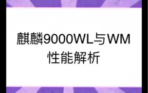 Download Video: 麒麟9000W系列芯片性能简评