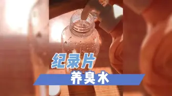 下载视频: 大型纪录片——养臭水