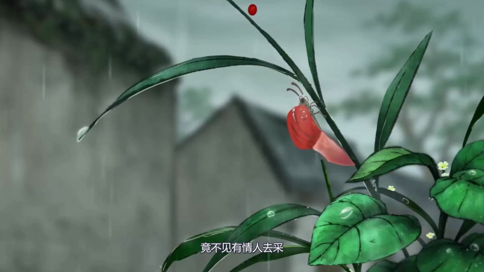 中国唱诗班:秀才与六娘的定情信物,相思红豆