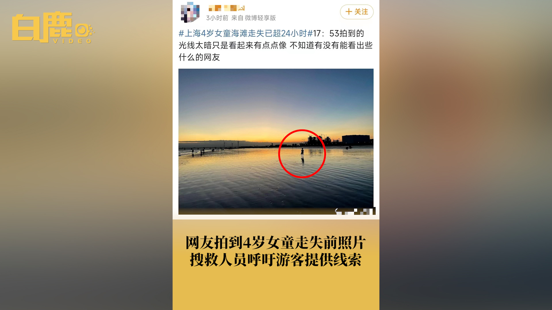 上海蓝天救援队呼吁游客提供线索哔哩哔哩bilibili