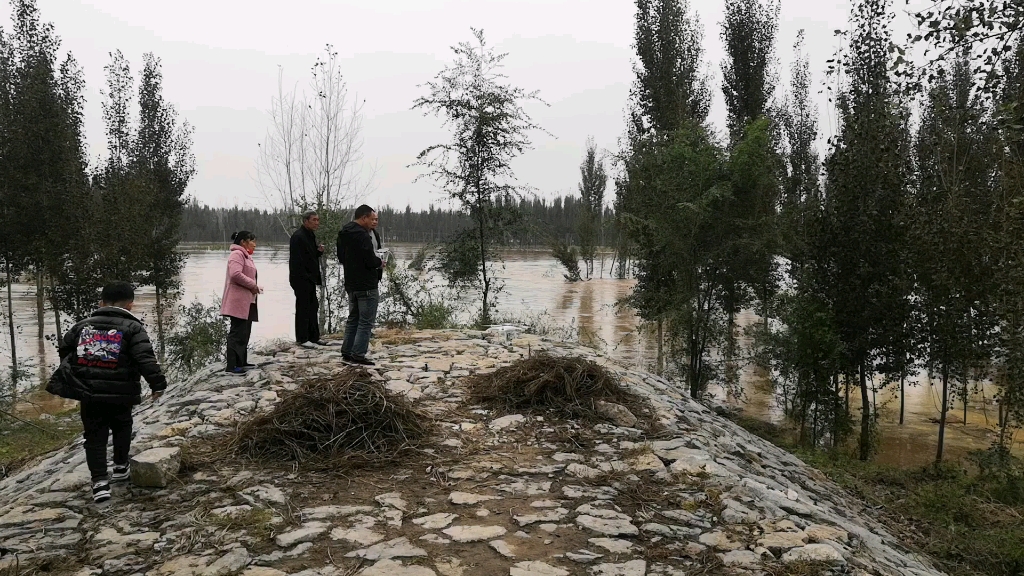 岳城水库放水下游到处大水漫灌哔哩哔哩bilibili