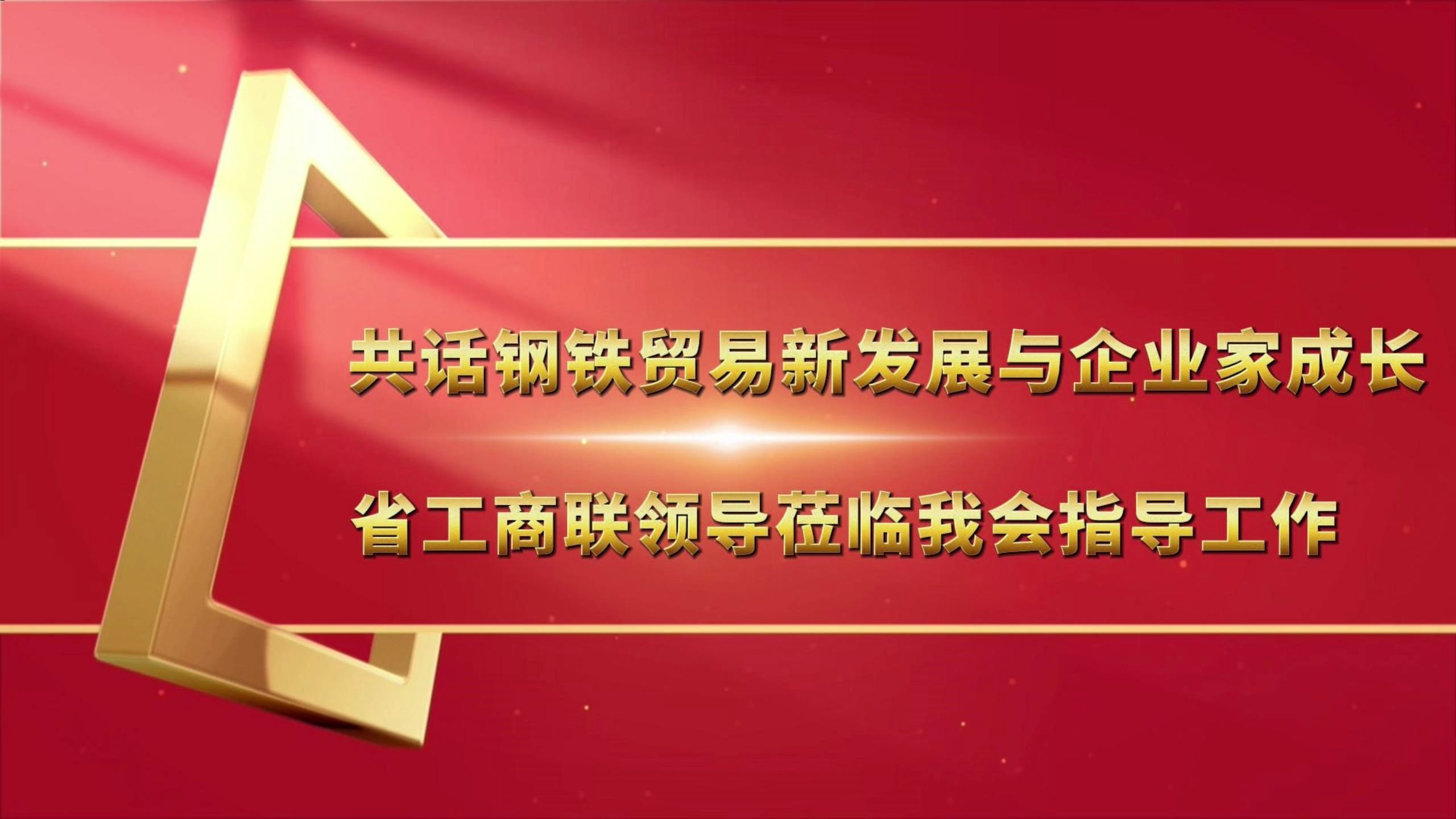 共话钢铁贸易新发展与企业家成长——省工商联领导莅临我会指导工作哔哩哔哩bilibili