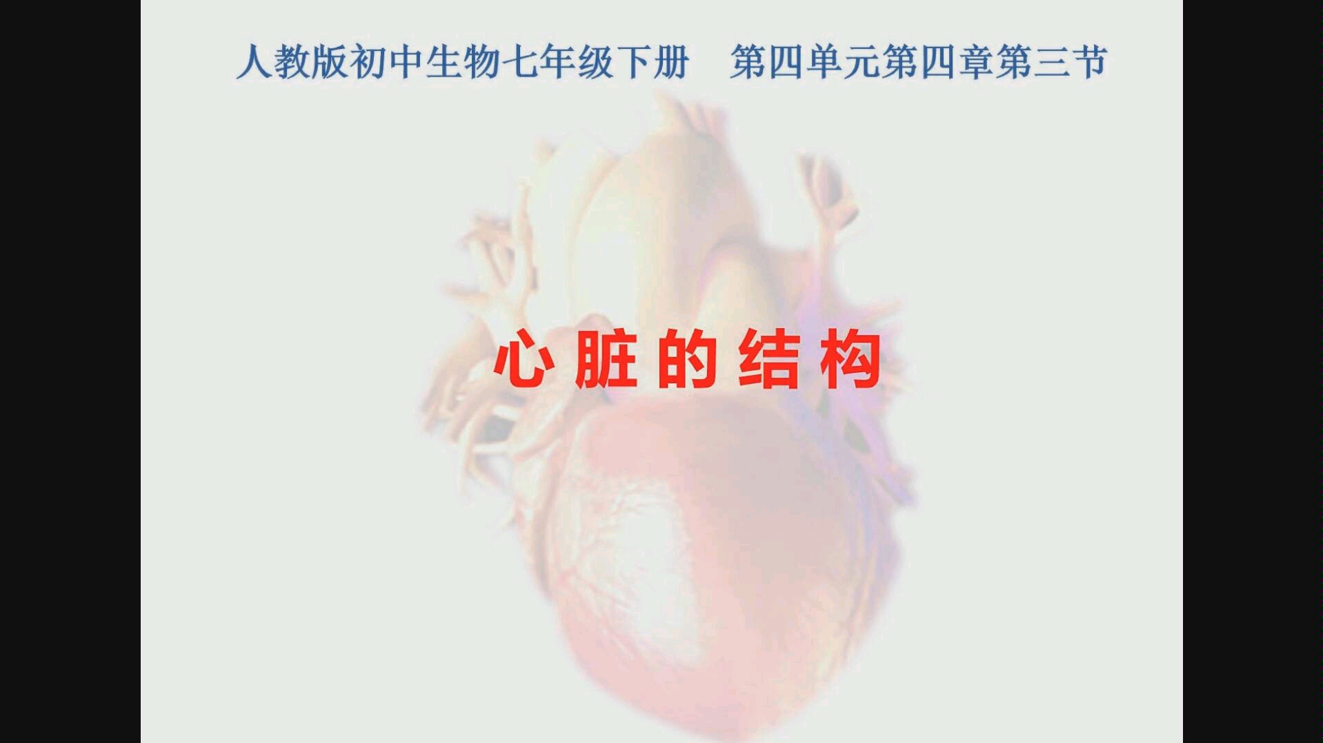 人教版初中生物教学微课七年级心脏的结构(在绘画中学习生物学)哔哩哔哩bilibili