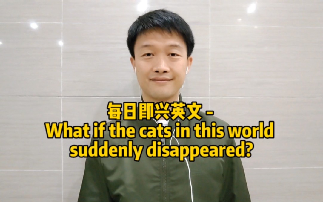 每日即兴英文  What if the cats in this world suddenly disappeared?哔哩哔哩bilibili