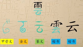 爫 爫是什么字 汉字演变 汉字 趣味识字 象形字 甲骨文 哔哩哔哩 つロ干杯 Bilibili