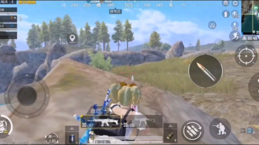 夏日和平精英玩