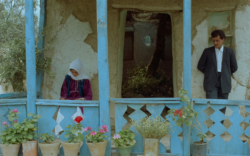 橄榄树下的情人