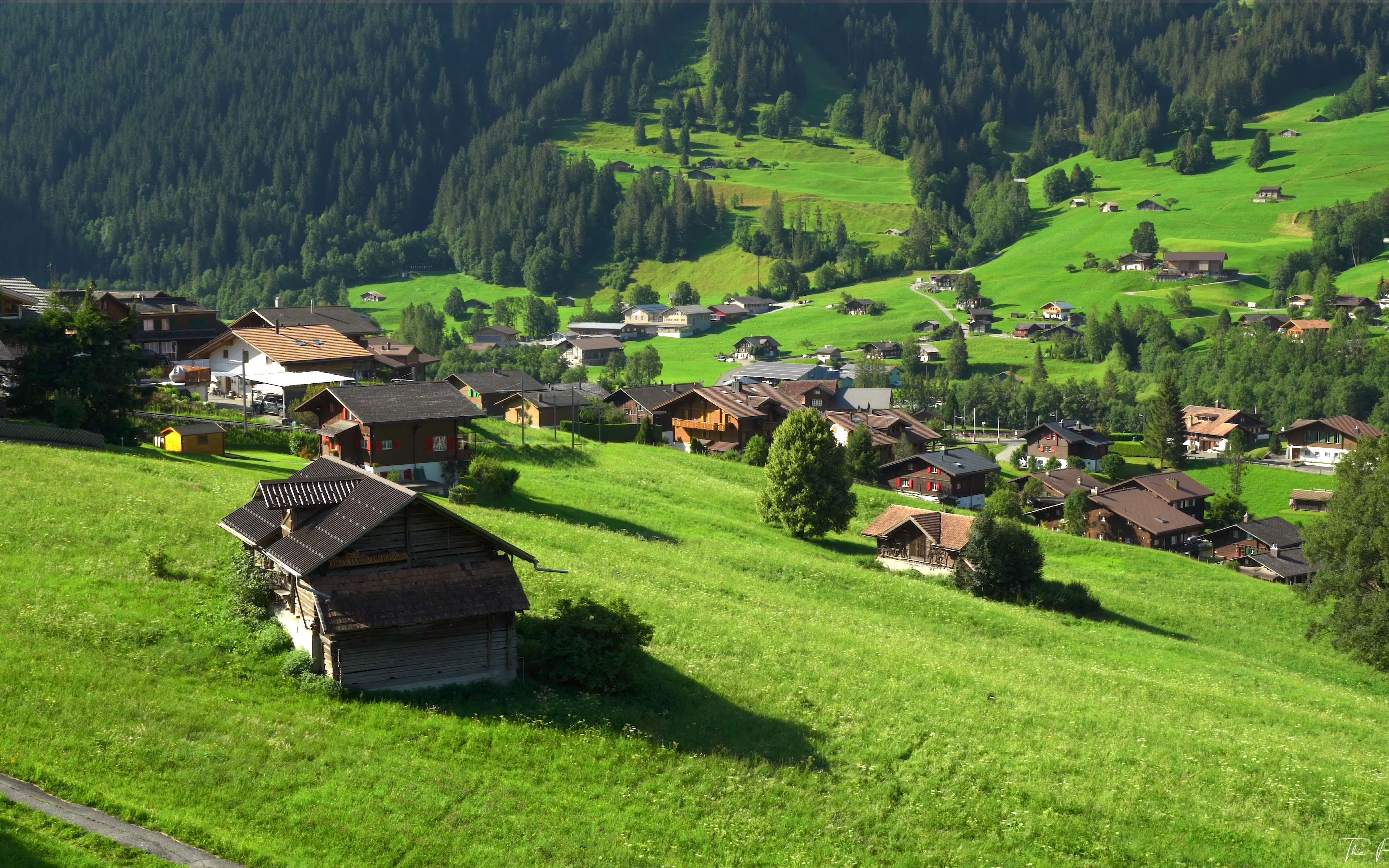 瑞士格林德瓦风景