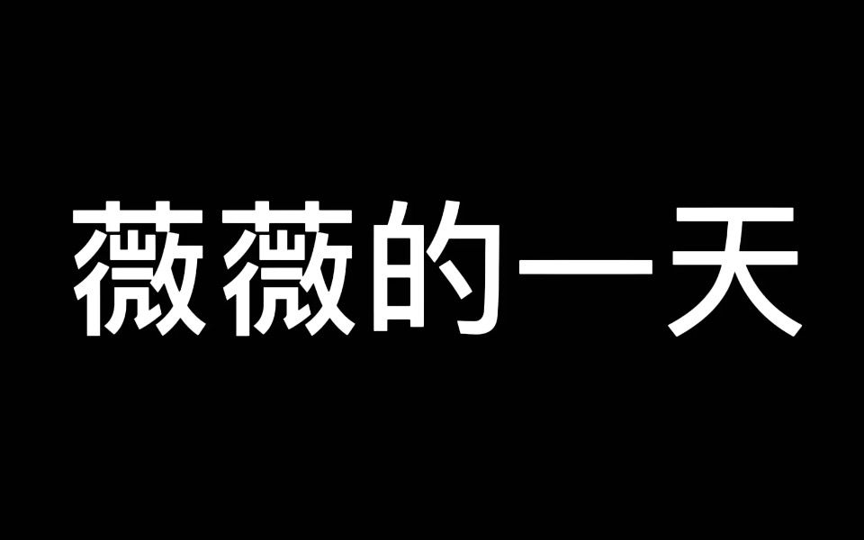 「余梓桾X张子薇」揭秘薇薇的一天哔哩哔哩bilibili