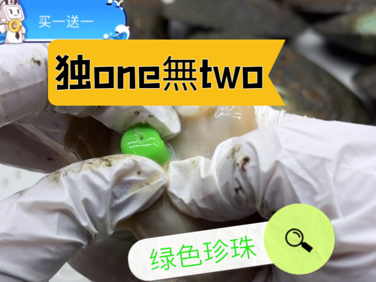 独one无two 西兰花珍珠蚌哔哩哔哩bilibili