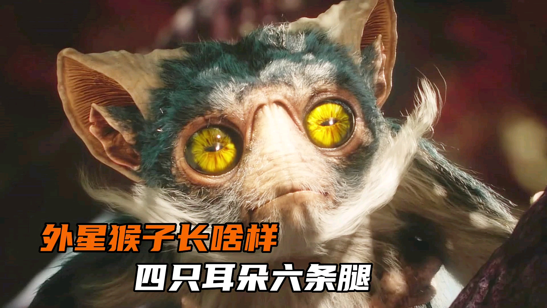 [图]《外星世界1》拥有2颗太阳的行星，猴子竟进化出了四只耳朵六条腿