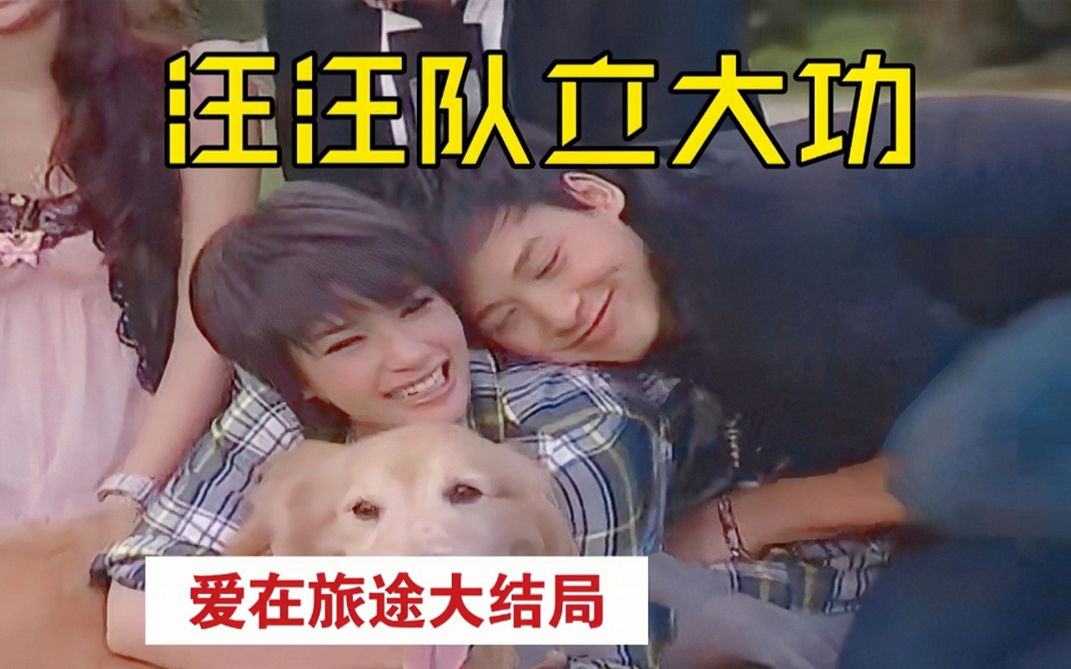 【丸】梦中情狗!谁能想到这部剧的狗狗才是“真男主”!童年搞笑泰剧《爱在旅途》解说大结局-丸子不吃才怪-丸子不吃才怪-哔哩哔哩视频