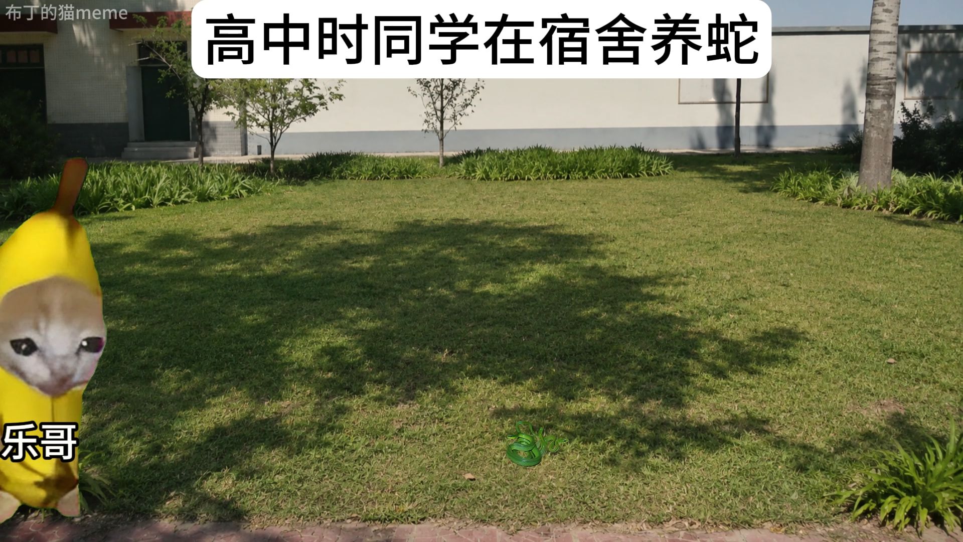 高中时同学在宿舍养蛇