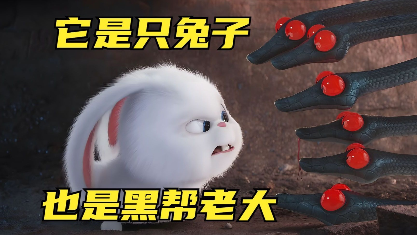 爱宠物大机密电影全集的介绍和剧情简介