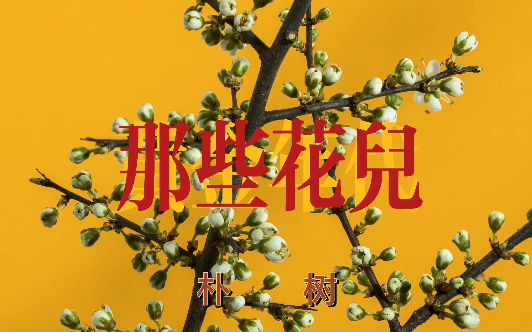 那些花儿-朴树(纯音乐)