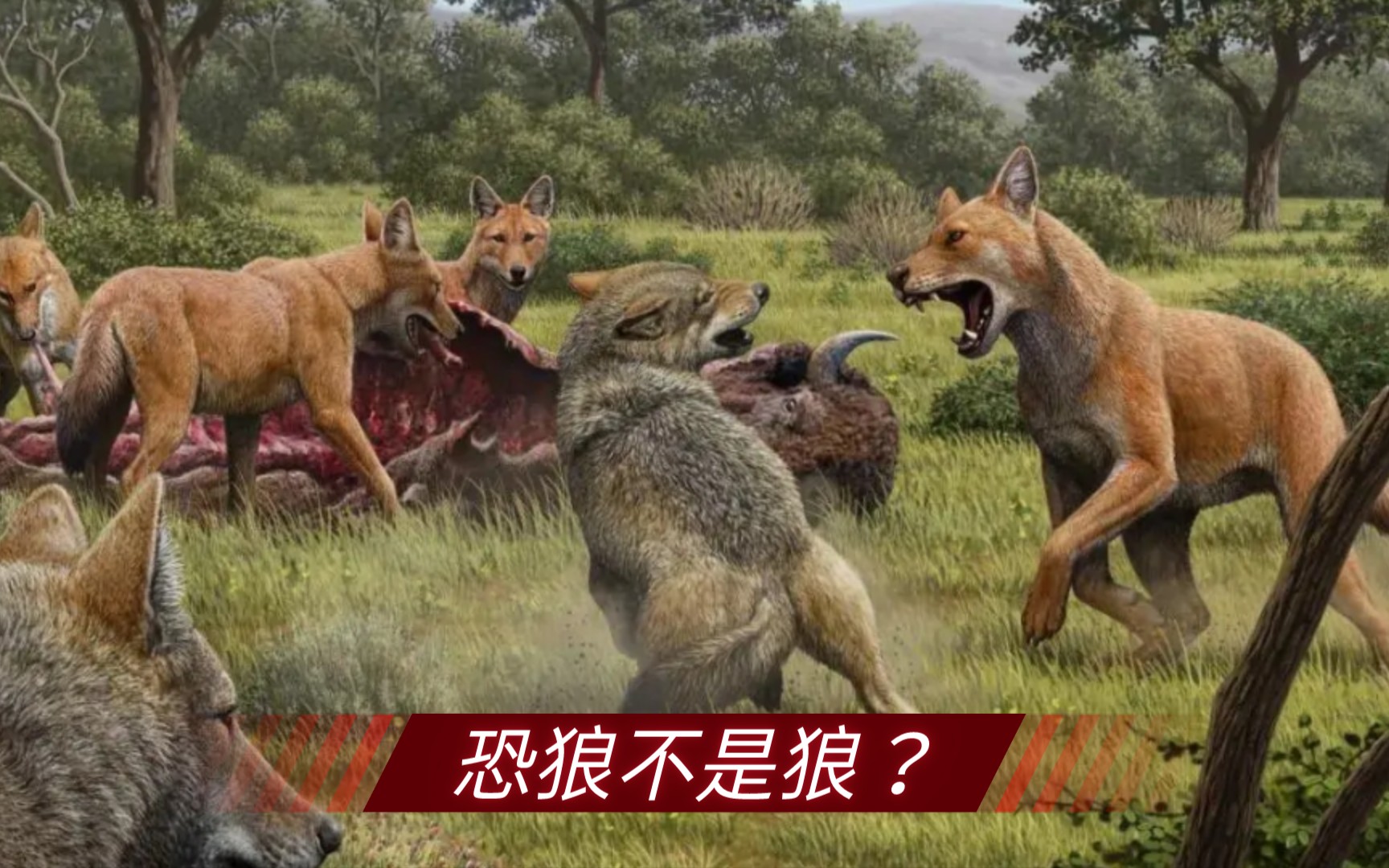 大名鼎鼎的恐狼根本不是"狼"!