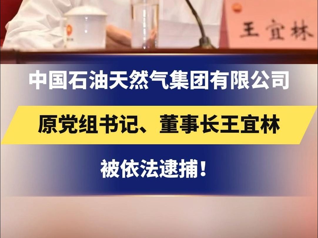 中国石油天然气集团有限公司 原党组书记、董事长王宜林被依法逮捕!哔哩哔哩bilibili