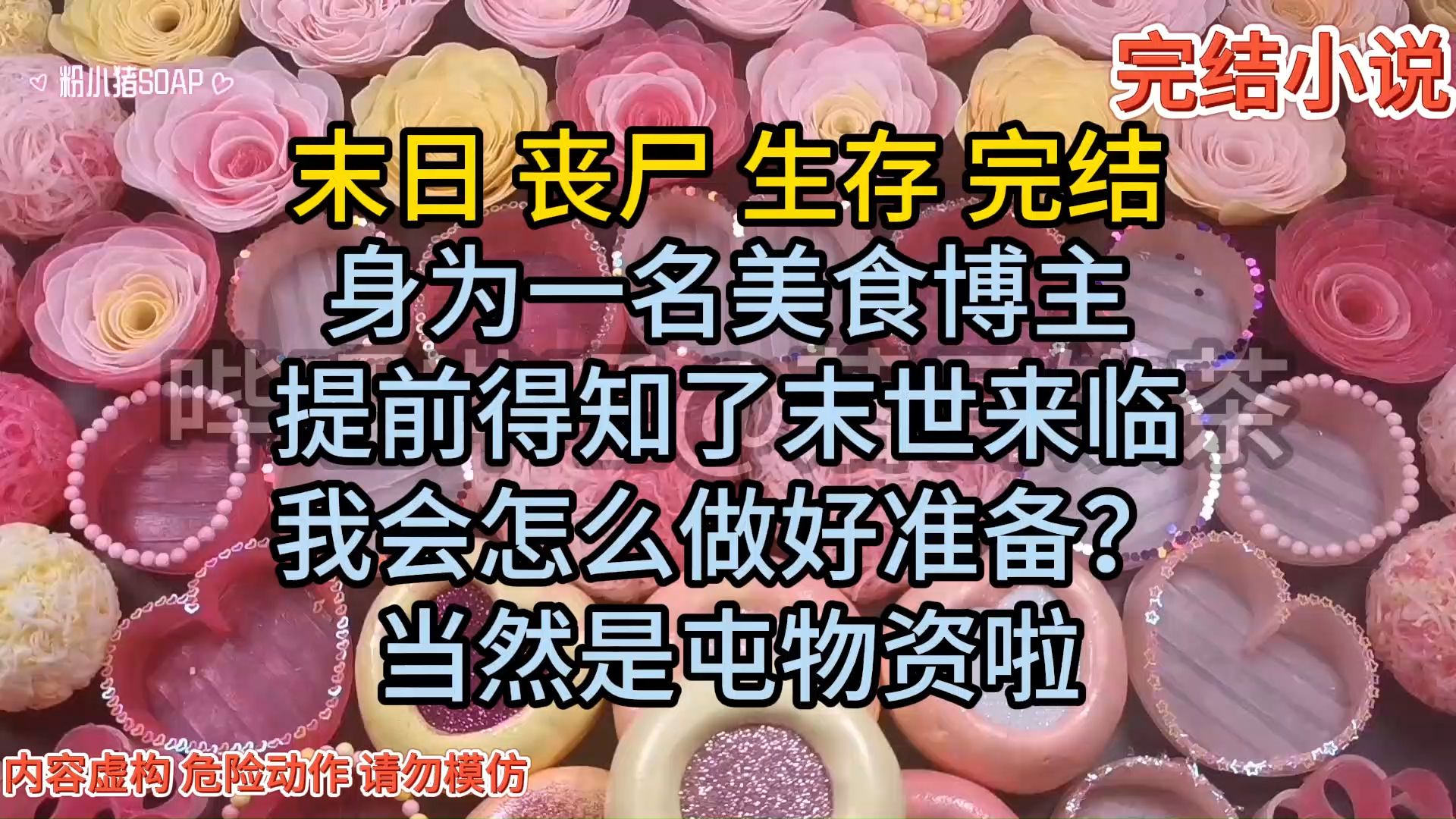 (完结)作为一名美食博主,我提前得知了末世来临的消息哔哩哔哩bilibili