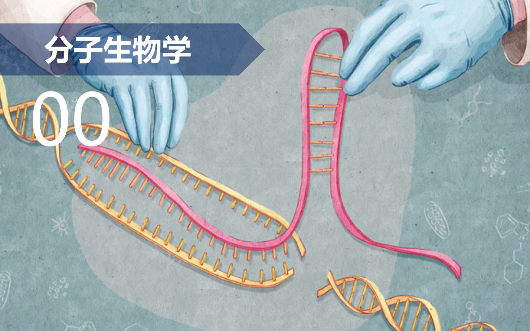 【分子】00 分子生物学技术——CRISPR简介哔哩哔哩bilibili